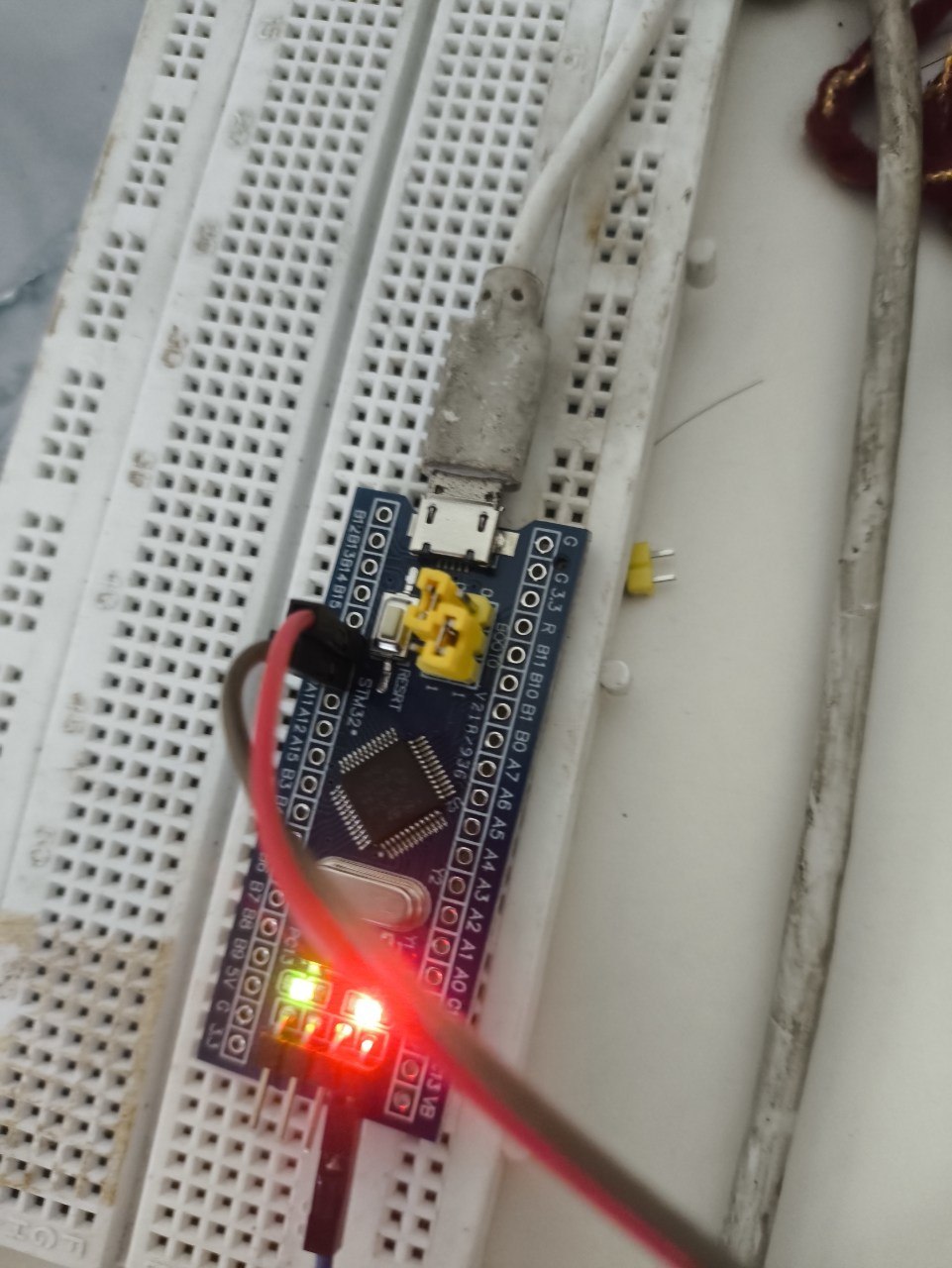 The Blue Pill on a breadboard with its onboard LEDs lit, running the bare-metal blink program